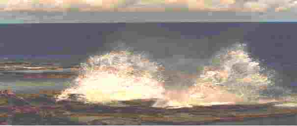 blowhole1