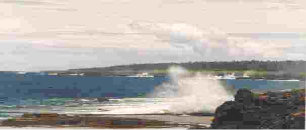blowhole2