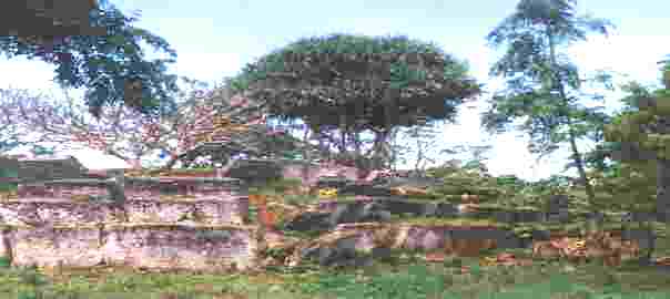 Terrassengr�ber1