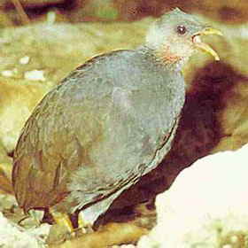 Malau-Dr-Dieter Rinke Malau-Dr-Dieter Rinke