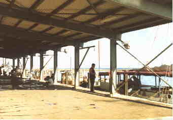 Tu�imatamoana Fish Market01