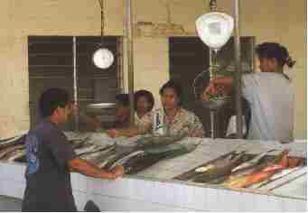 Tu�imatamoana Fish Market02