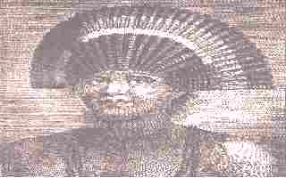 TUI TONGA 001