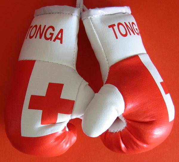 BOXHANDSCHUHE 001