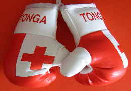 BOXHANDSCHUHE 001 BOXHANDSCHUHE 001